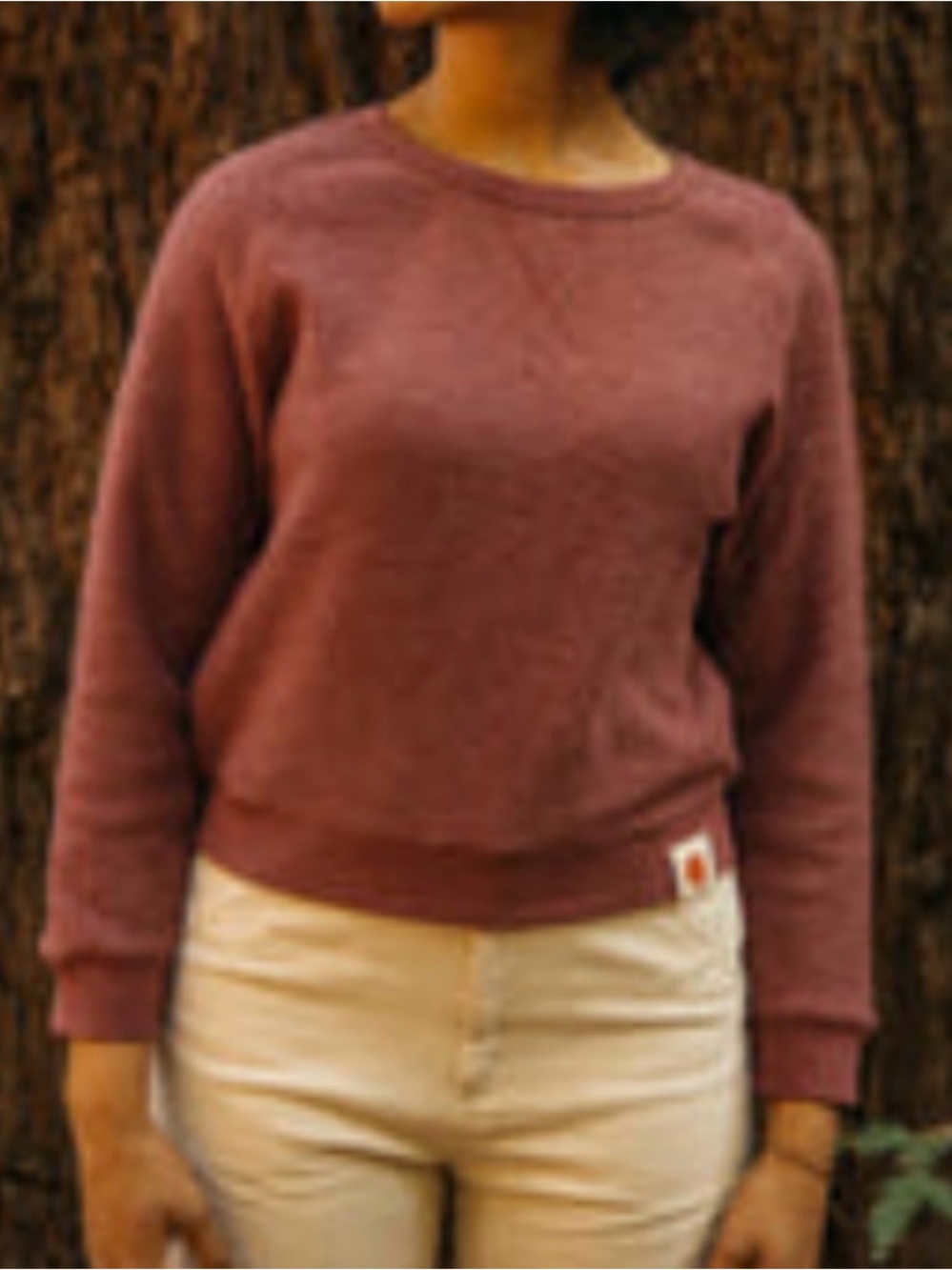 Mollusk Crewneck Cloud Sweater in Mauve Huckleberry
